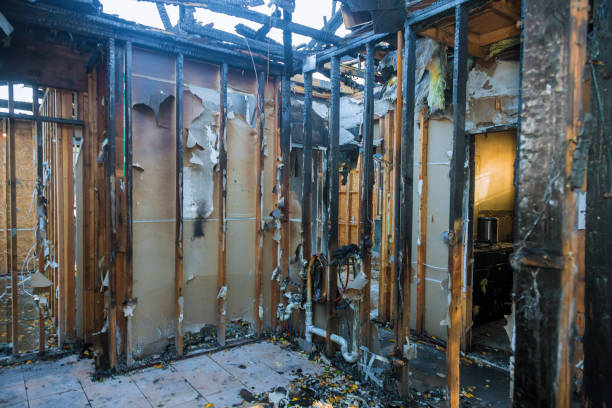 Professional Fire Damage Removal technician working in Fruitridge Pocket, CA